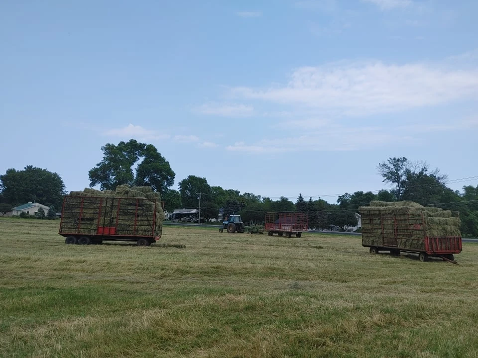 Hay wagons loaded in the field