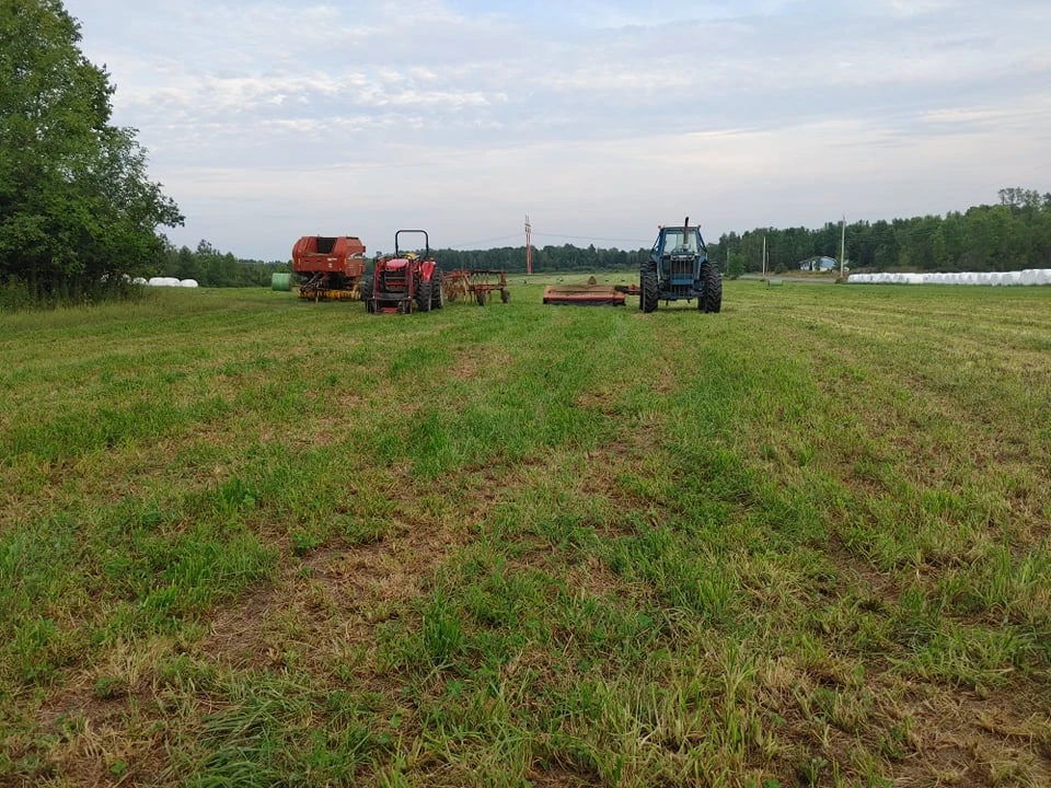 Haying equipment in the field
