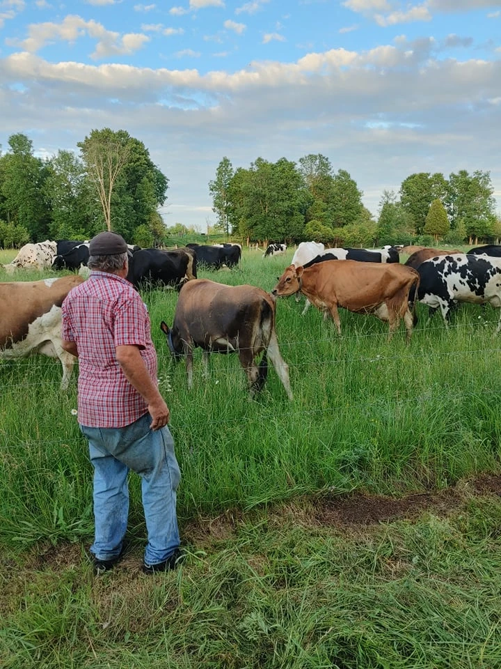 Loren checking on the herd