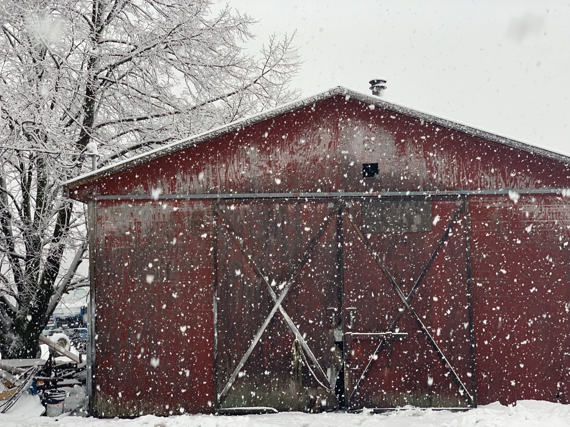 The barn at Ortman Farms