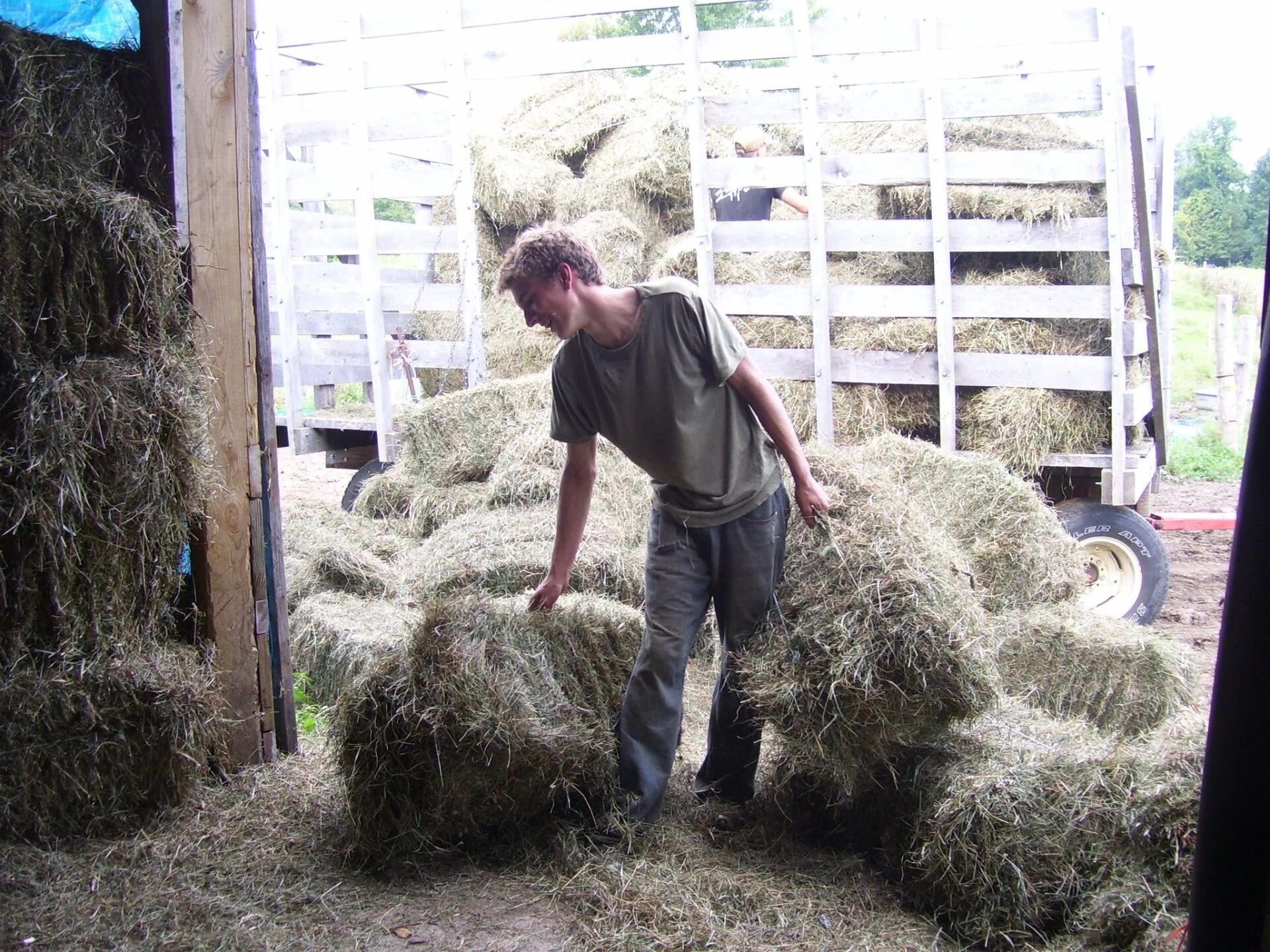 Stacking hay bales in the barn